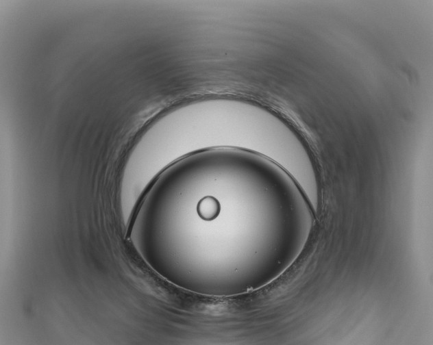 X0000112800068200908281537