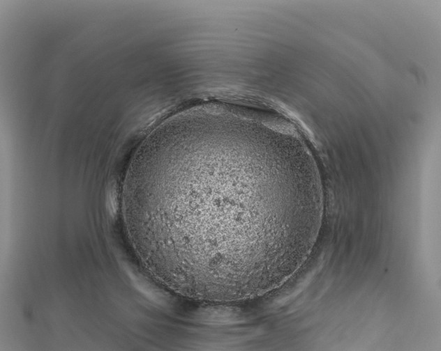 X0000112800069200908281537