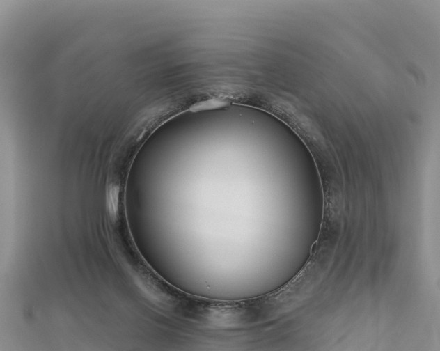 X0000112800070200908281537