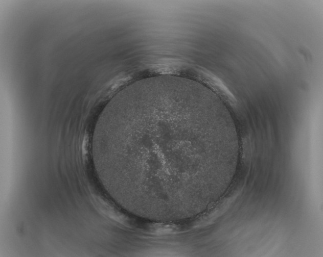 X0000112800073200908281537