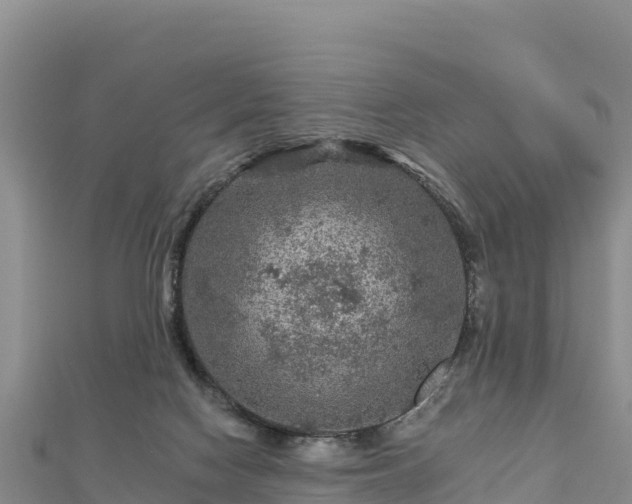 X0000112800074200908281537