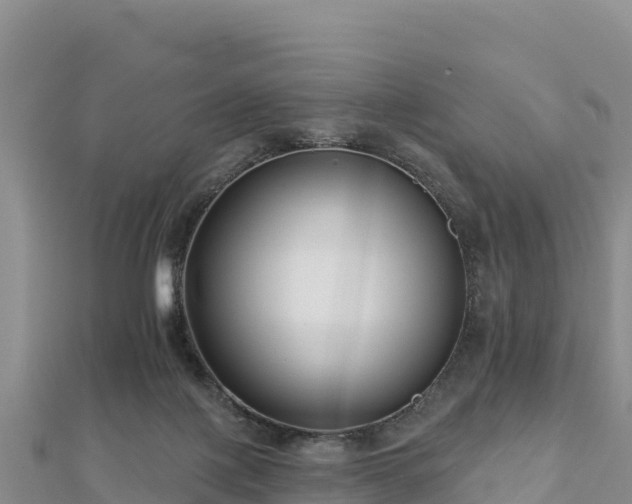 X0000112800075200908281537