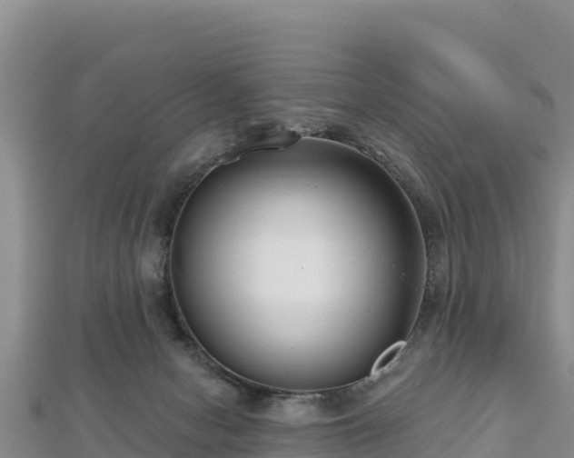 X0000112800078200908281537