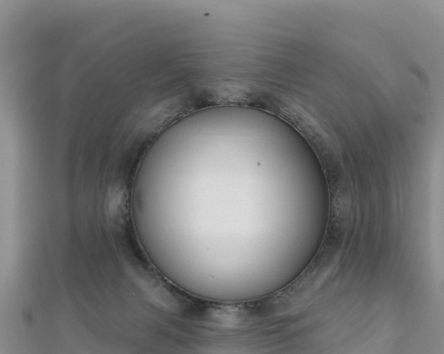 X0000112800079200908281537