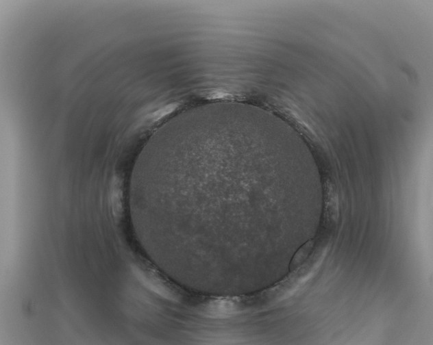 X0000112800080200908281537