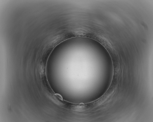 X0000112800081200908281537