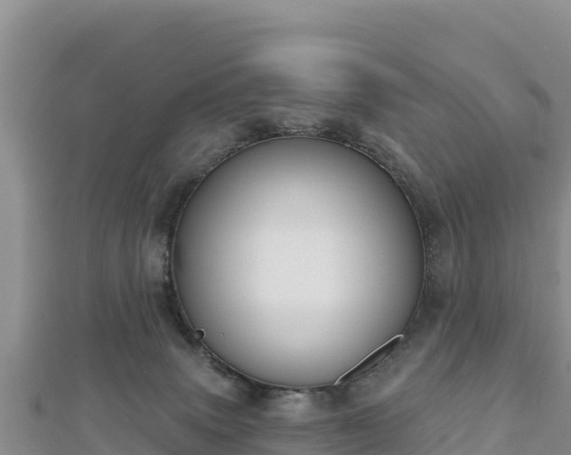 X0000112800083200908281537