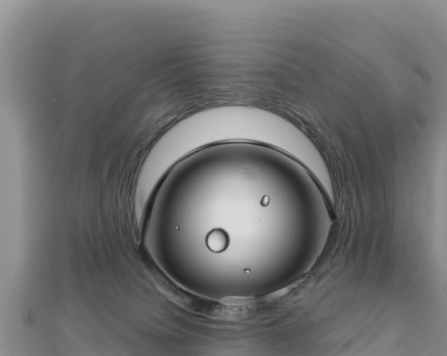 X0000112800084200908281537