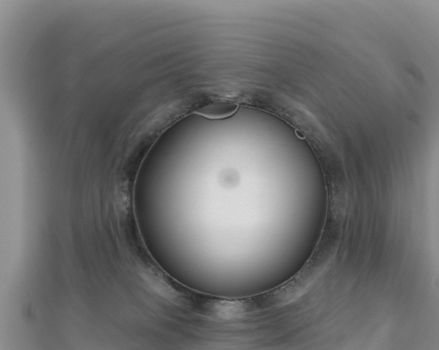 X0000112800085200908281537