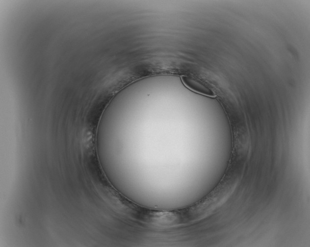 X0000112800087200908281537