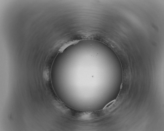 X0000112800090200908281537