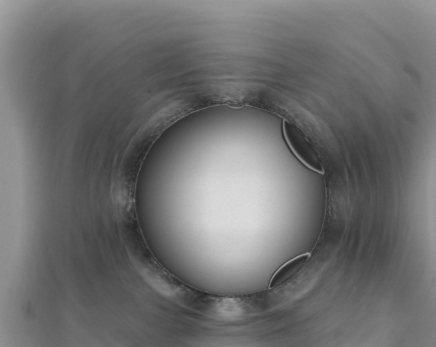 X0000112800091200908281537