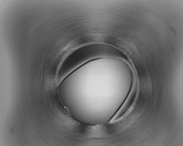X0000112800092200908281537