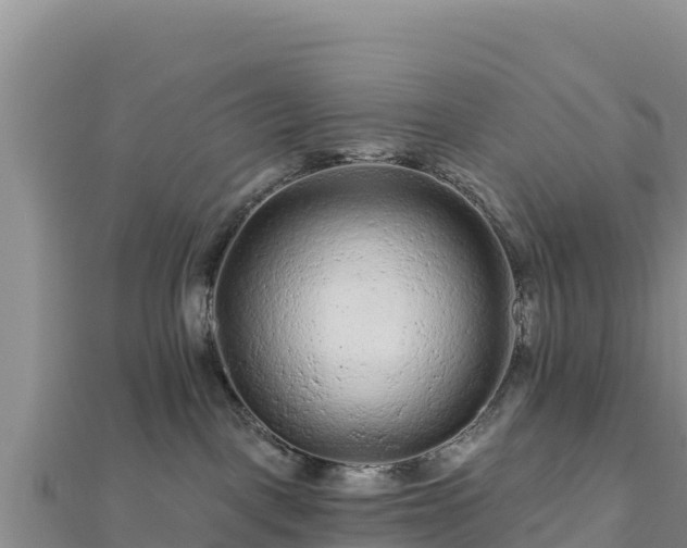 X0000112800093200908281537