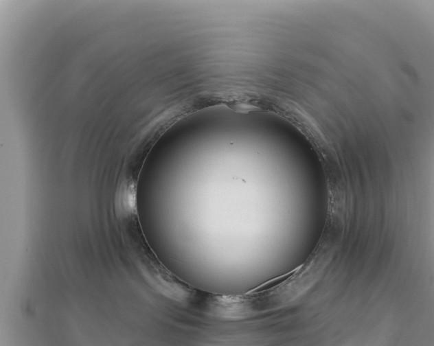 X0000112800095200908281537