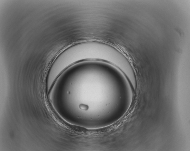 X0000112800097200908281537