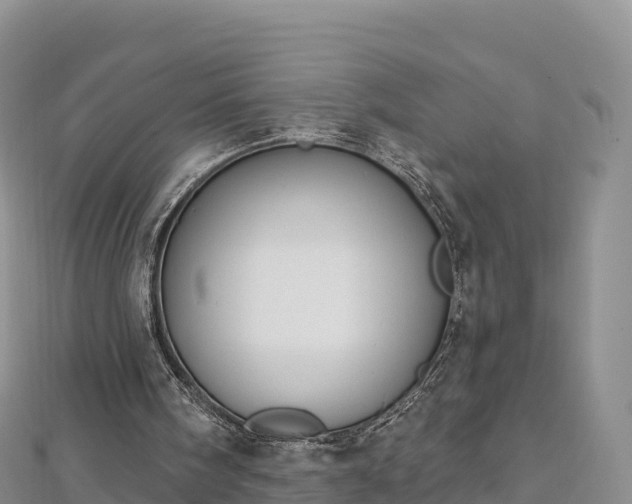 X0000112800098200908281537