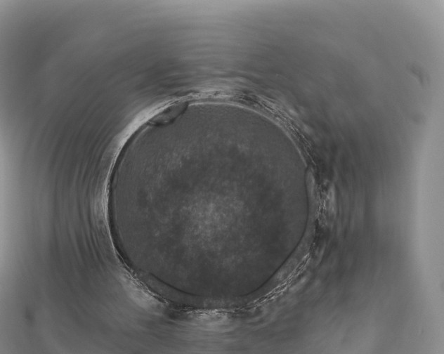 X0000112800100200908281537