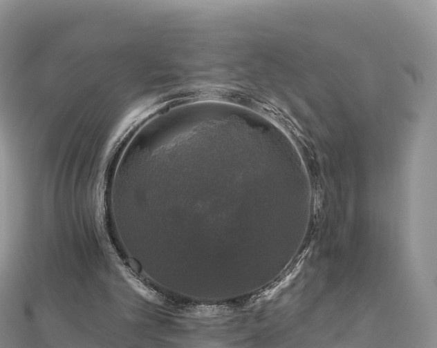 X0000112800101200908281537