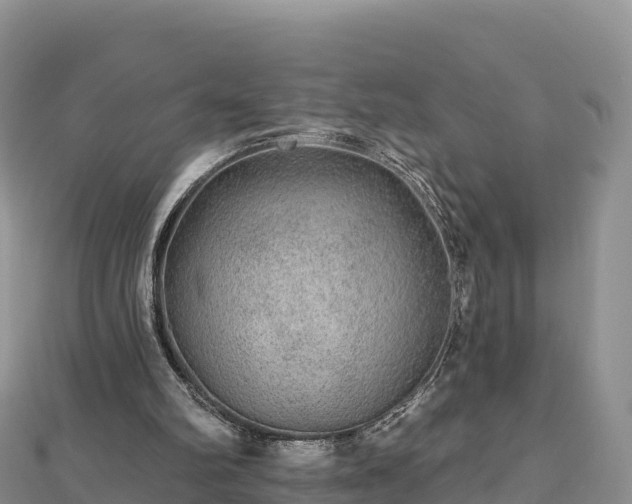 X0000112800102200908281537