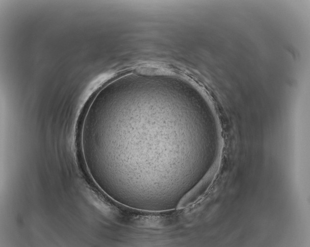 X0000112800104200908281537
