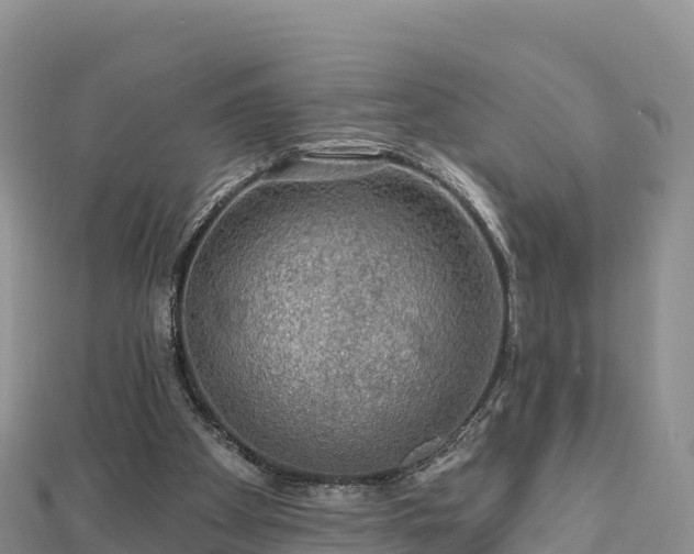X0000112800105200908281537