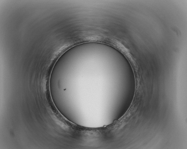 X0000112800106200908281537