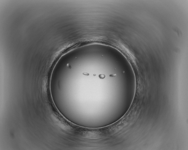 X0000112800107200908281537