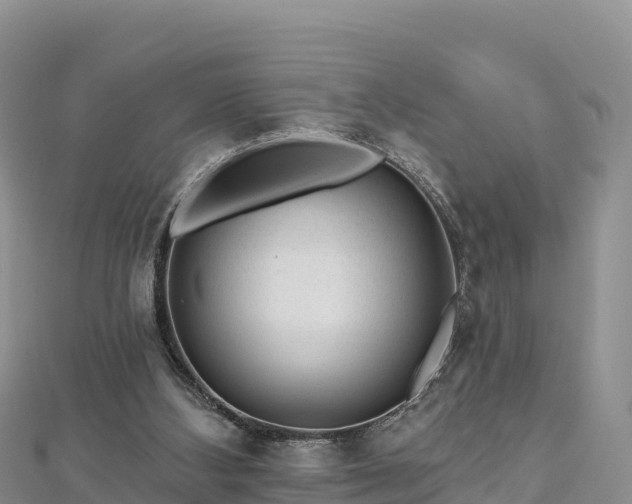 X0000112800108200908281537