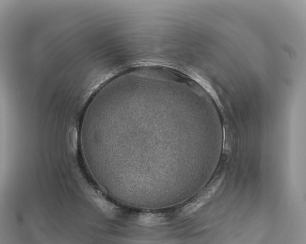 X0000112800109200908281537