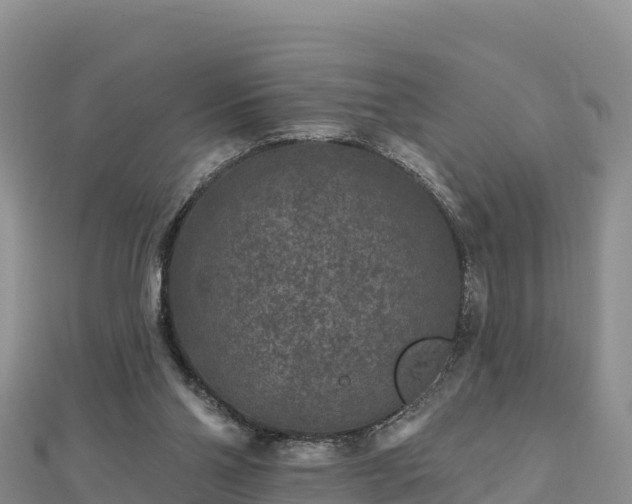 X0000112800110200908281537