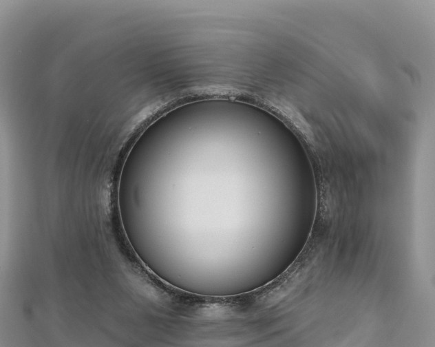 X0000112800111200908281536