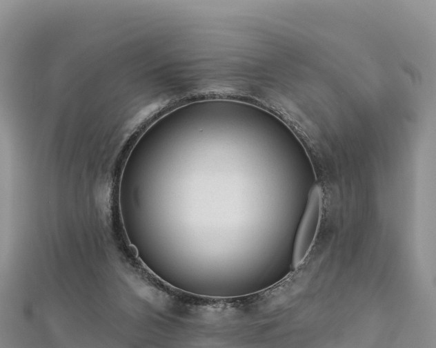 X0000112800112200908281536