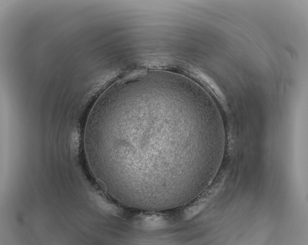 X0000112800113200908281536
