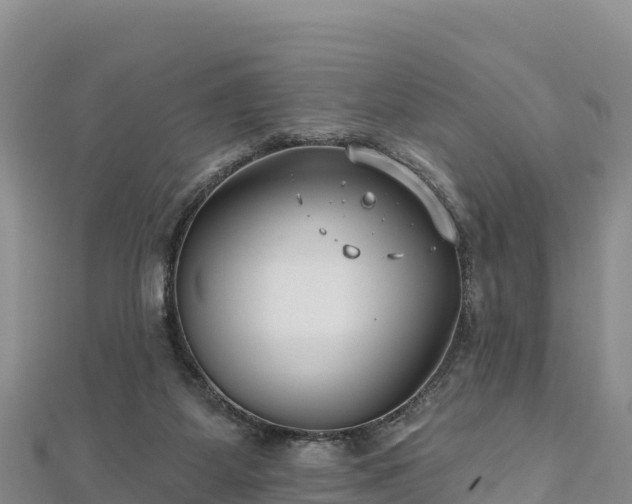 X0000112800115200908281536