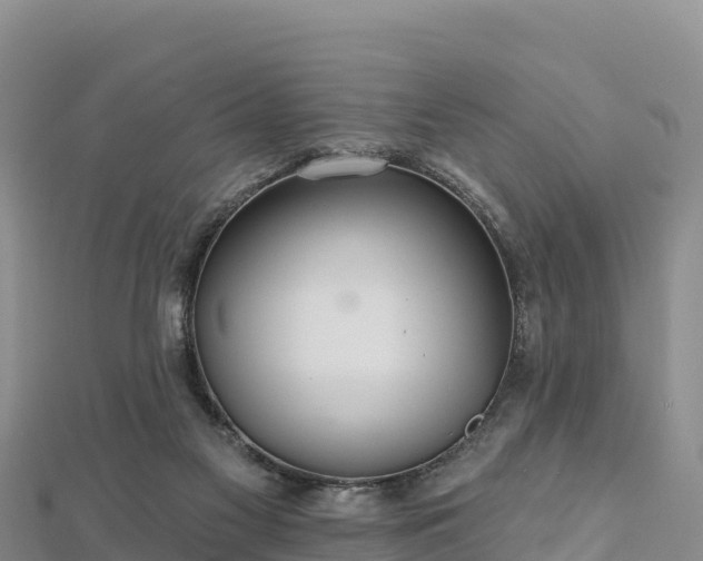 X0000112800117200908281536