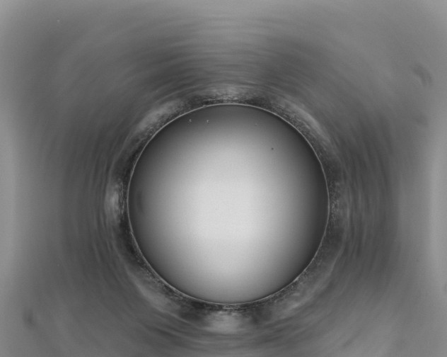 X0000112800119200908281536