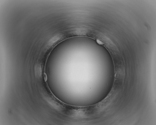 X0000112800120200908281536