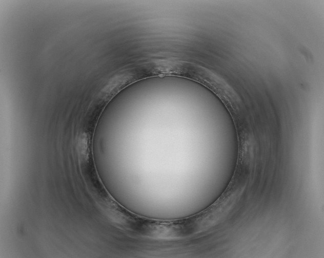 X0000112800121200908281536