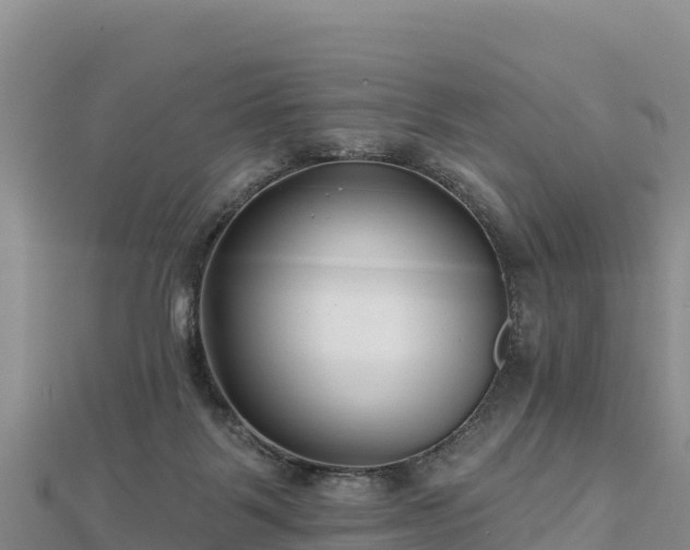 X0000112800123200908281536