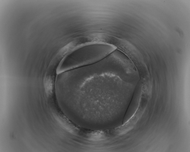 X0000112800124200908281536