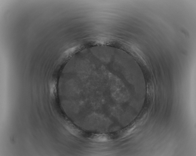 X0000112800127200908281536