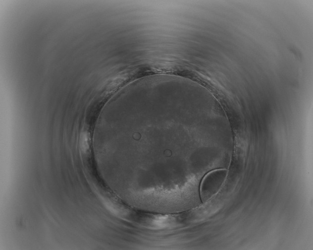 X0000112800130200908281536