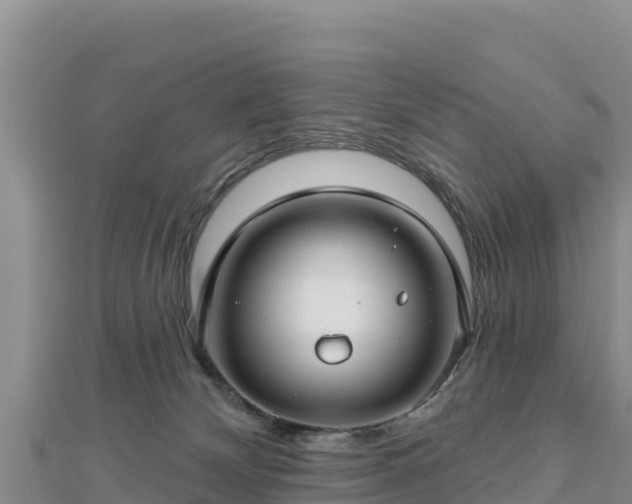 X0000112800132200908281536