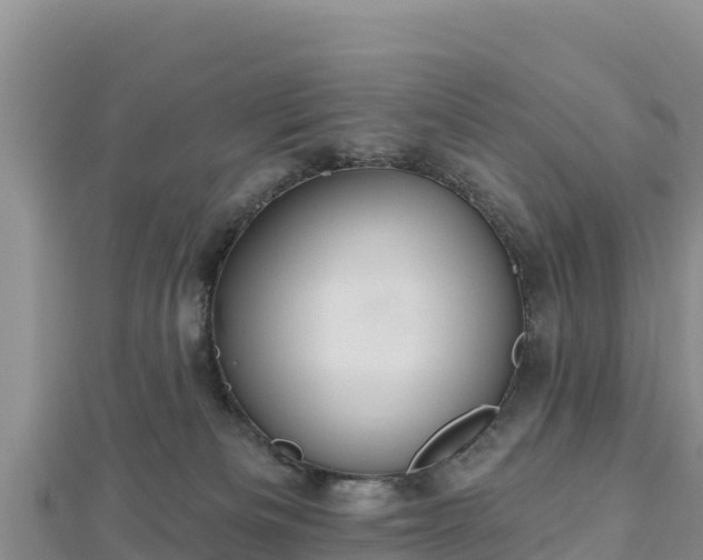 X0000112800133200908281536