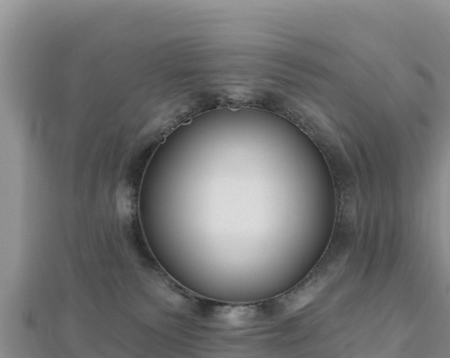 X0000112800135200908281536