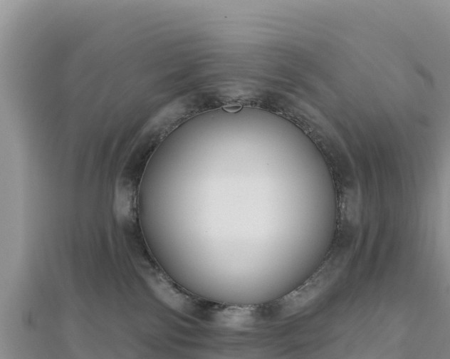 X0000112800138200908281536