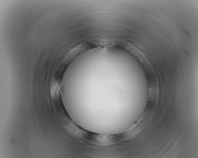 X0000112800142200908281536