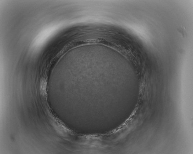 X0000112800146200908281535
