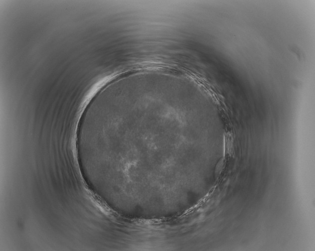 X0000112800147200908281535